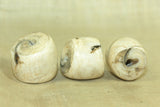 Large, Chunky  Conch Shell Bead, Nagaland