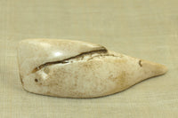 Conch Shell Pendant from Nagaland