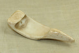 Conch Shell Pendant from Nagaland