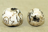 Traditional round and patterned Conch Shell Bead from Nagaland