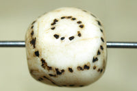 Traditional round and patterned Conch Shell Bead from Nagaland