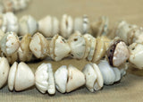 Strand of Carved Shell "Bead Caps" from Mali