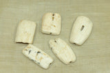 "Hippo Teeth" - Large Shell beads