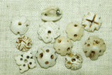 Tiny Hand-Carved Shell Cap Beads