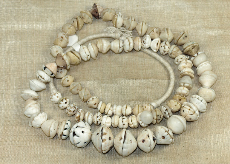 Strand of Carved Shell
