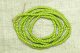 Czech Chartreuse Seed Beads, 11º
