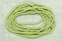 Chartreuse Seed Beads, 8º
