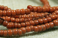 Cinnamon Red Seed 10º Beads