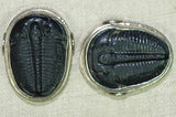 Fossilized Trilobite Sterling Silver Bead, B