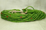 Tamba of Venetian Grass Green Seed Beads