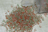 Vintage Red & Green 10º Seed Beads