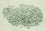 Vintage Venetian 10º Nickel Silver Plate Seed Beads