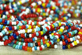 Italian 11º Multi-Color Seed Beads
