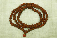 Strand of Rudraksha Seed Beads,  India
