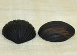 Clamshell Palmwood Carving from Bali