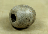Large Indonesian Fossil Bead; Lou Zeldis Studio
