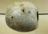 Large Indonesian Fossil Bead; Lou Zeldis Studio