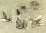 Ancient Arrowheads, Mali, Set of 5, Lou Zeldis Collection