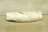 Tribal Conch Shell Bead from Nagaland