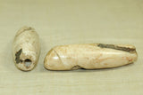 Tribal Conch Shell Bead from Nagaland