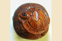 Turtle Ball