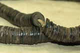 Old Coconut Shell Beads from Ghana